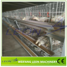 Sistema automático de alimentación de jaulas para equipos de alimentación de aves de corral altamente personalizados de la serie Leon en gran oferta